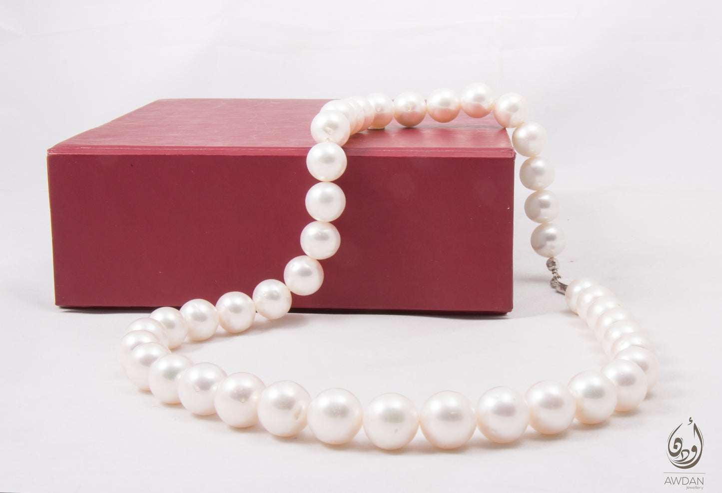 Plain Pearls Necklace