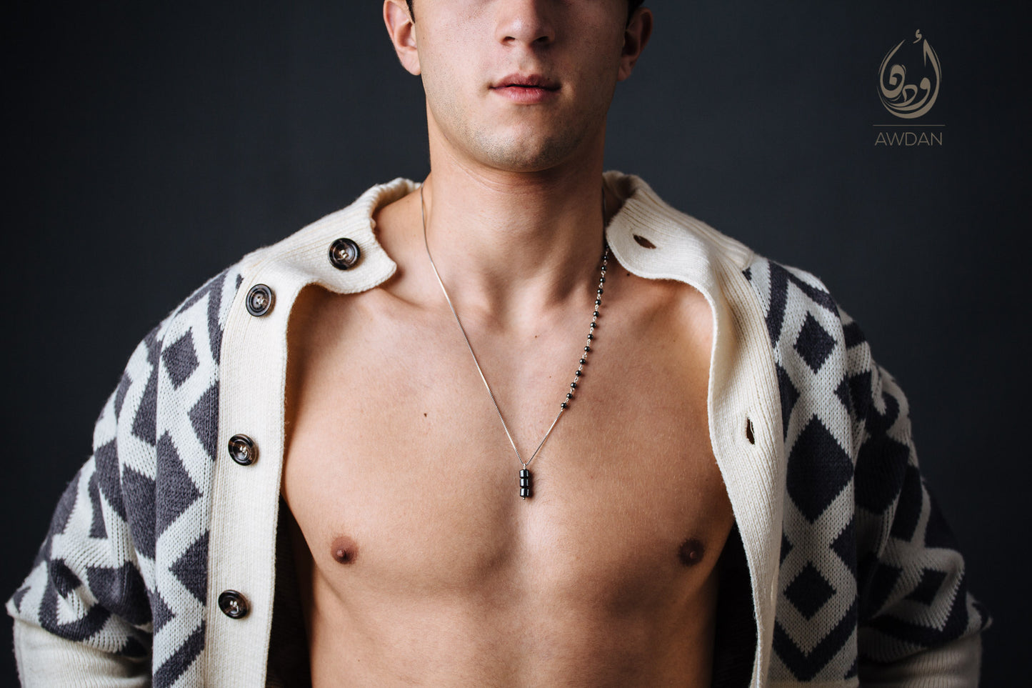 Half Hematite Half Silver Necklace