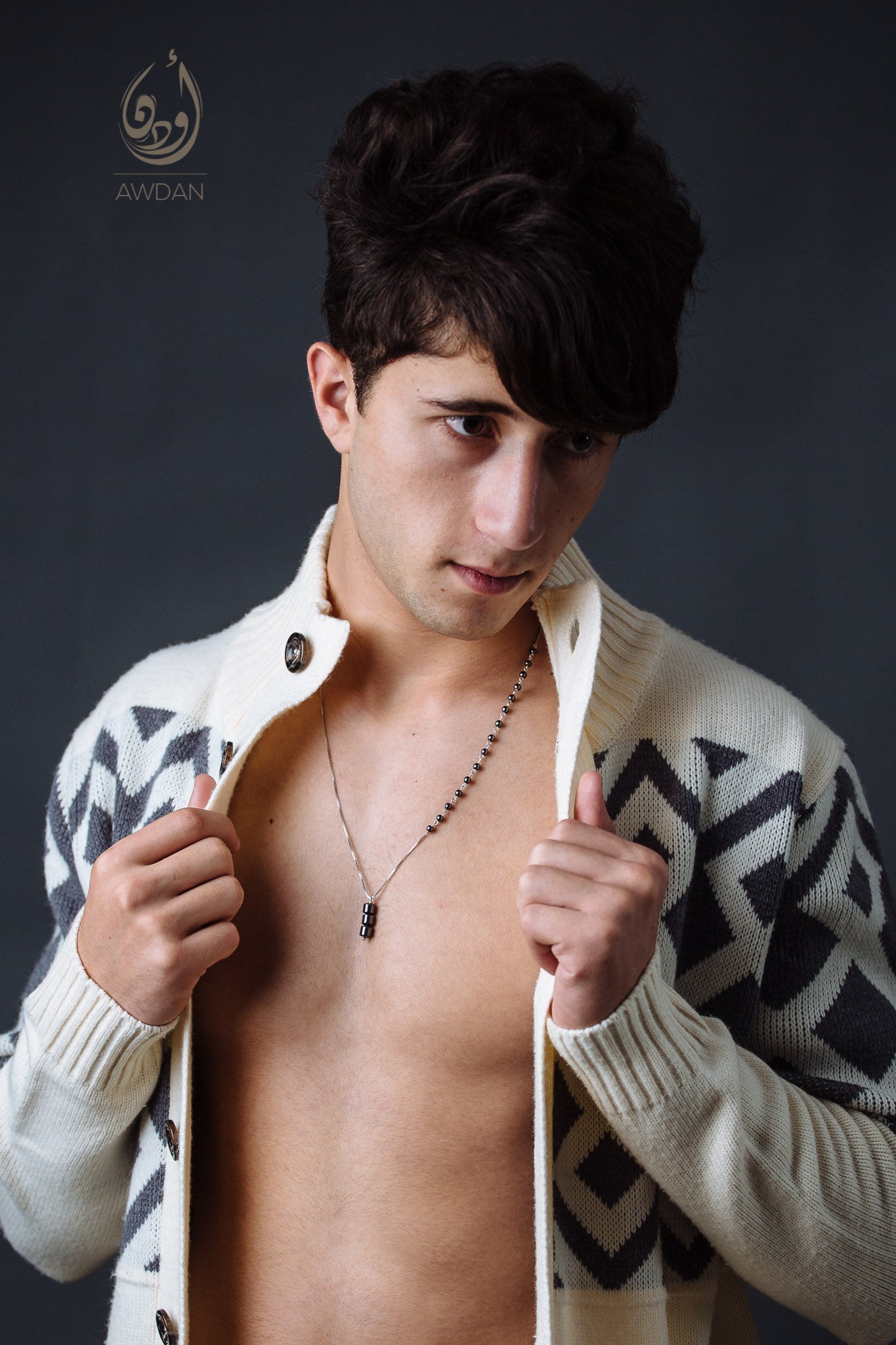 Half Hematite Half Silver Necklace