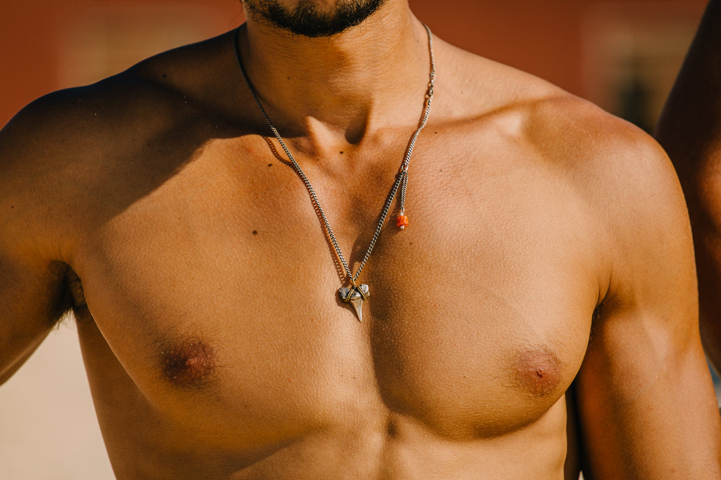 Molded Shark Tooth Necklace