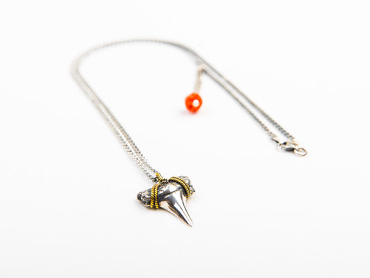 Molded Shark Tooth Necklace