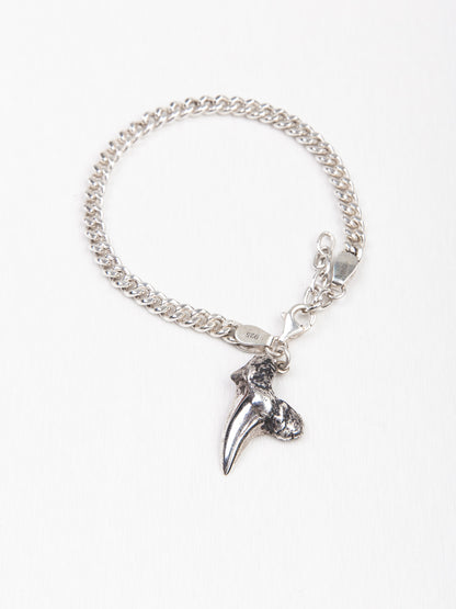 Molded Shark Tooth Bracelet